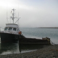 IMG_3221.jpg