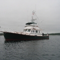 IMG_5357.jpg
