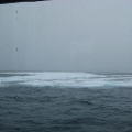 IMG_3272.jpg
